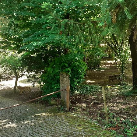 Cabana Da Oliveira มาร์โก เดอ คานาเวเซส ภายนอก รูปภาพ