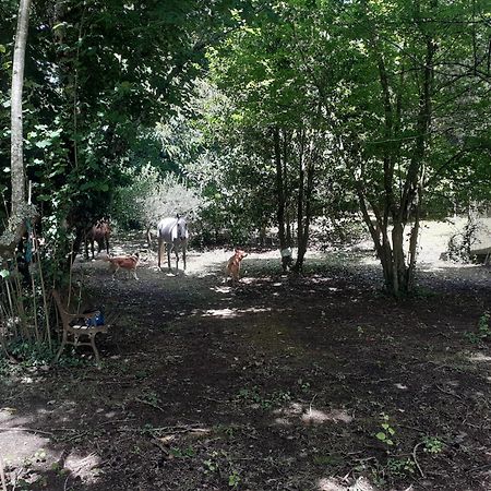 Cabana Da Oliveira มาร์โก เดอ คานาเวเซส ภายนอก รูปภาพ