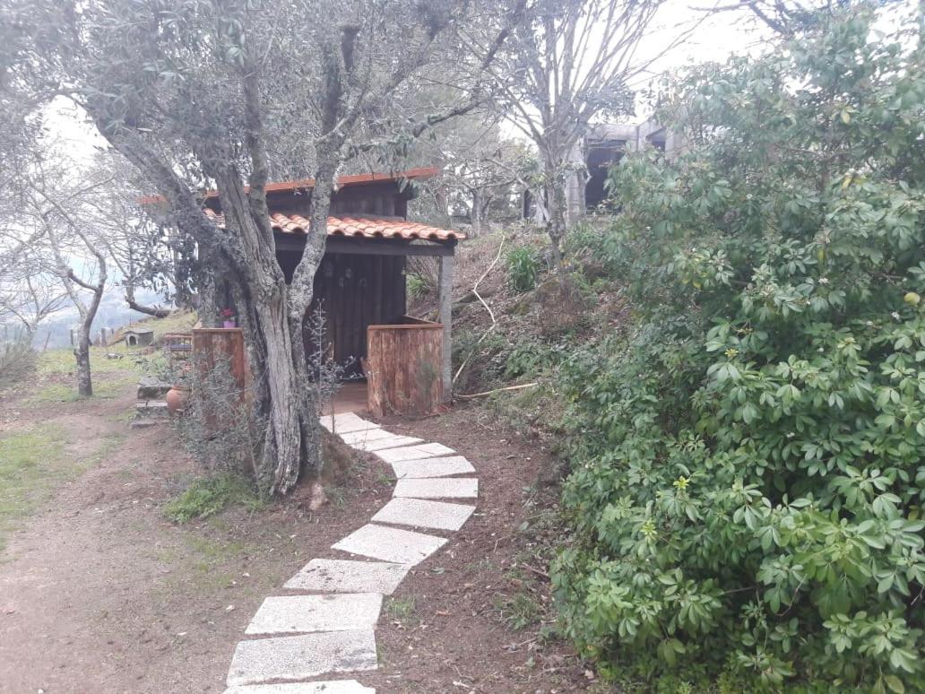 Cabana Da Oliveira มาร์โก เดอ คานาเวเซส ภายนอก รูปภาพ